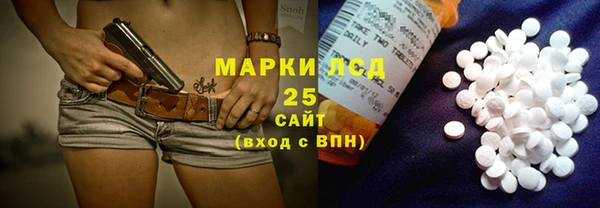 ГАЛЛЮЦИНОГЕННЫЕ ГРИБЫ Алексин