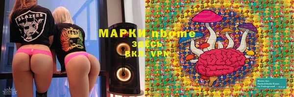 ГАЛЛЮЦИНОГЕННЫЕ ГРИБЫ Алексин