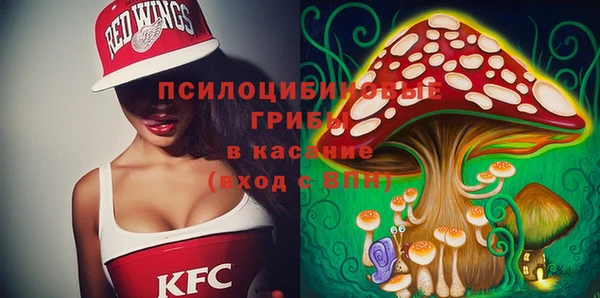 ГАЛЛЮЦИНОГЕННЫЕ ГРИБЫ Алексин