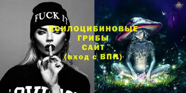ГАЛЛЮЦИНОГЕННЫЕ ГРИБЫ Алексин