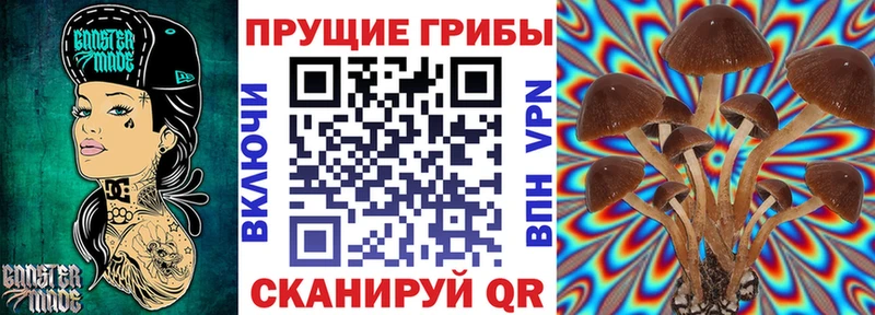 Галлюциногенные грибы ЛСД  сколько стоит  Камышин 