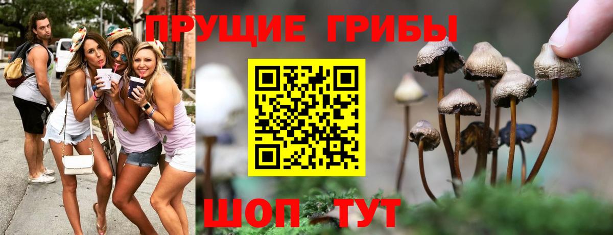 Галлюциногенные грибы Psilocybe  Вход с VPN  Галлюциногенные грибы ЛСД  Камышин 